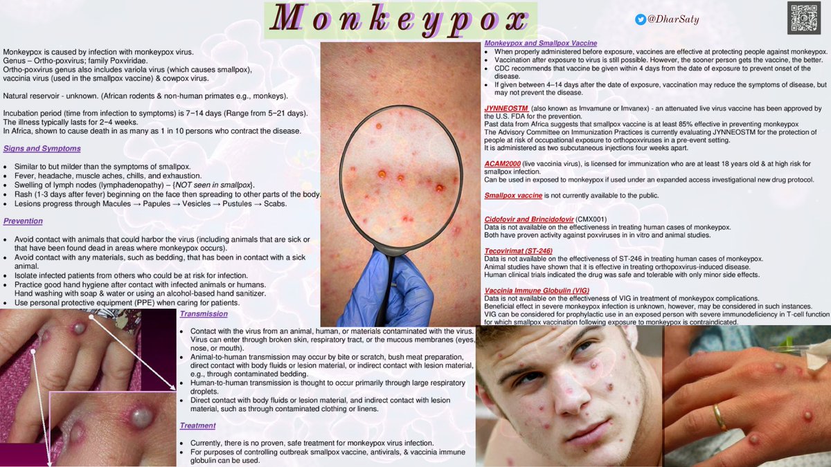 DharSaty's tweet photo. The Monkeypox …. Monkey 🙈 monkey 🙉 monkey 🙊 ………

Need to find the man with yellow 🎩 , where are you curious George! !!! https://t.co/4WY5TDKO8J
