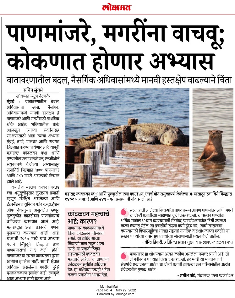 Mangrove Foundation of Maharashtra tweet media