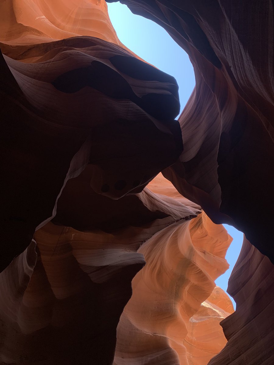 ThatFoolBeck's tweet image. 