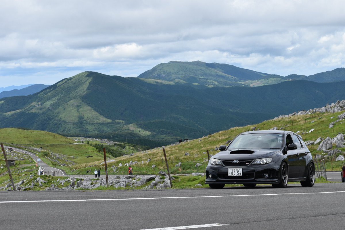 のぶお tweet media