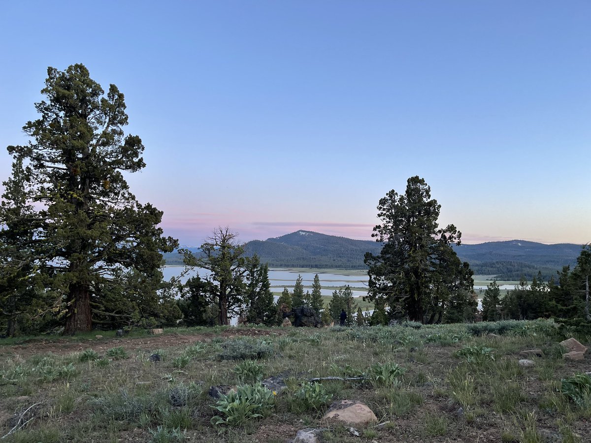 CryptoChef88's tweet photo. Perfect camping spot! #AAPES #AapeQueens https://t.co/TVJXtDXinm