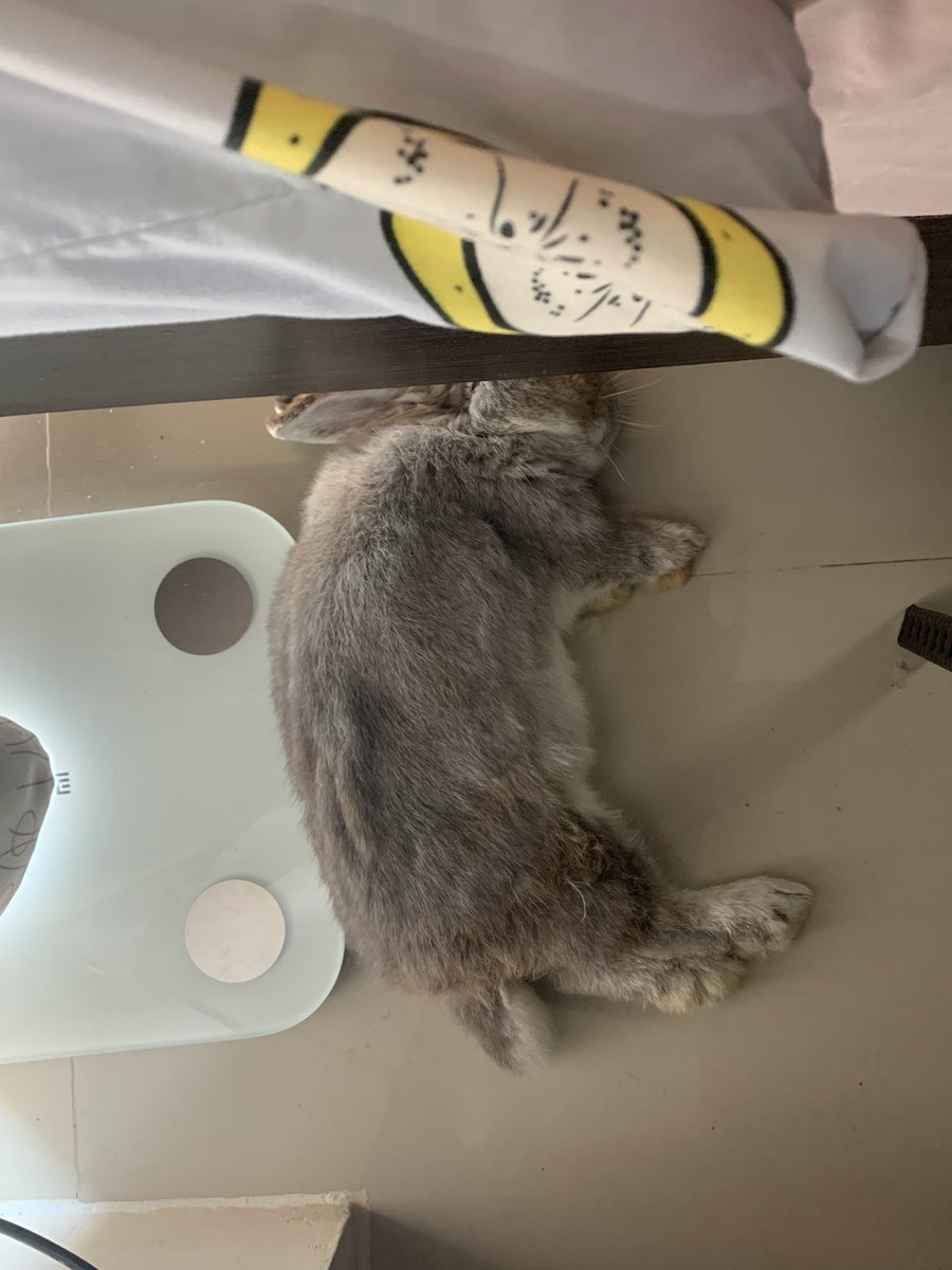 หนมเหนียว tweet media