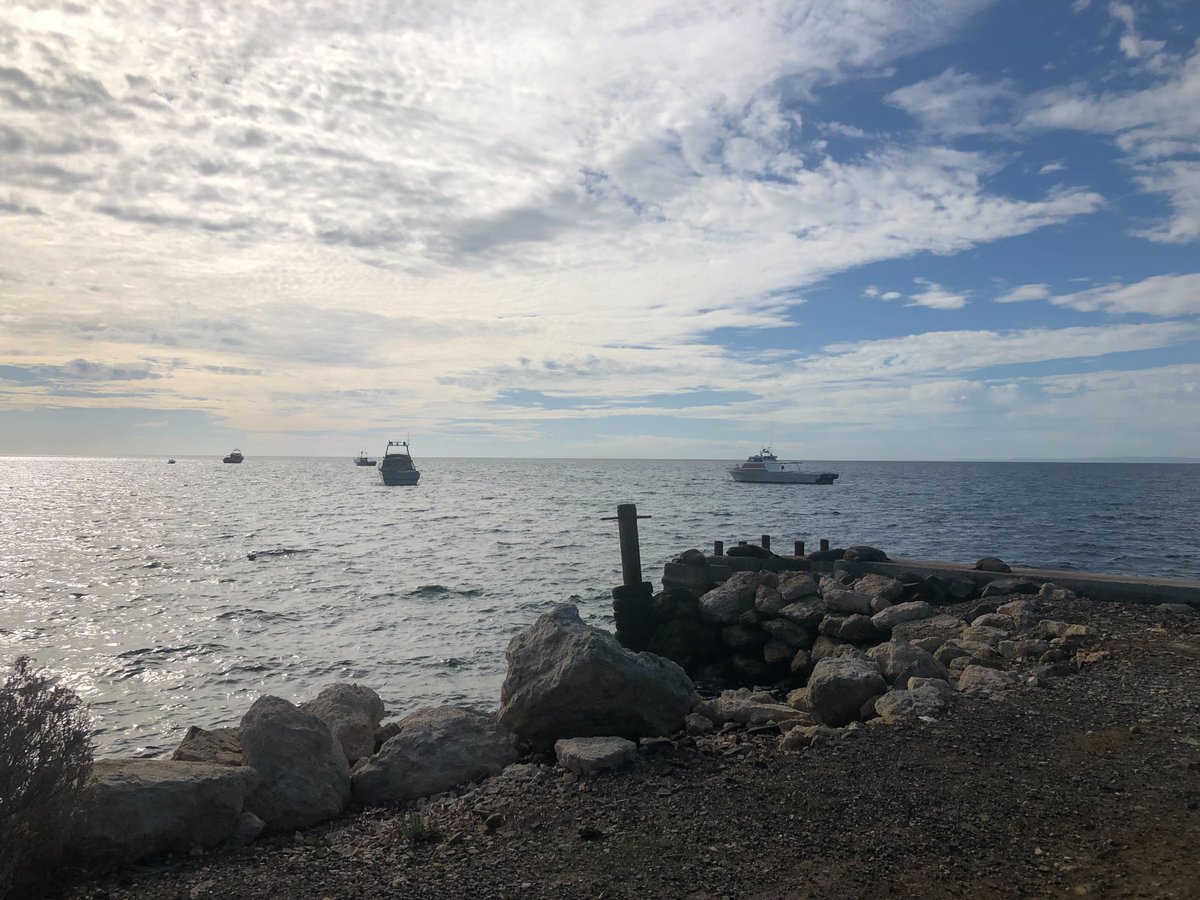 tacsi_innovate's tweet photo. This week, TACSI is on Kangaroo Island with Fay Fuller Foundation &amp; Clear Horizon Consulting. Together, we're supporting the @OurTownSA team with collaborative tools and goal setting so they can feel grounded as a team. 

Find out more about Our Town --> https://t.co/ESbNqdmDKI https://t.co/U84QE1Xquj