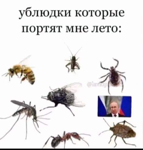 Справжній Брюссель (@serge69bxl) on Twitter photo 