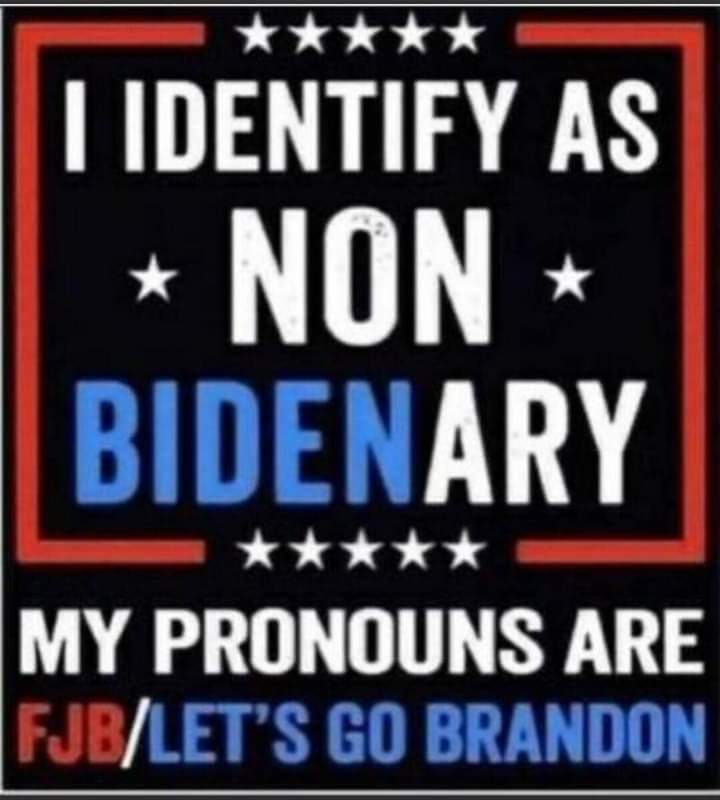 YES! #Memes #LetsGoBrandon #bbtvi