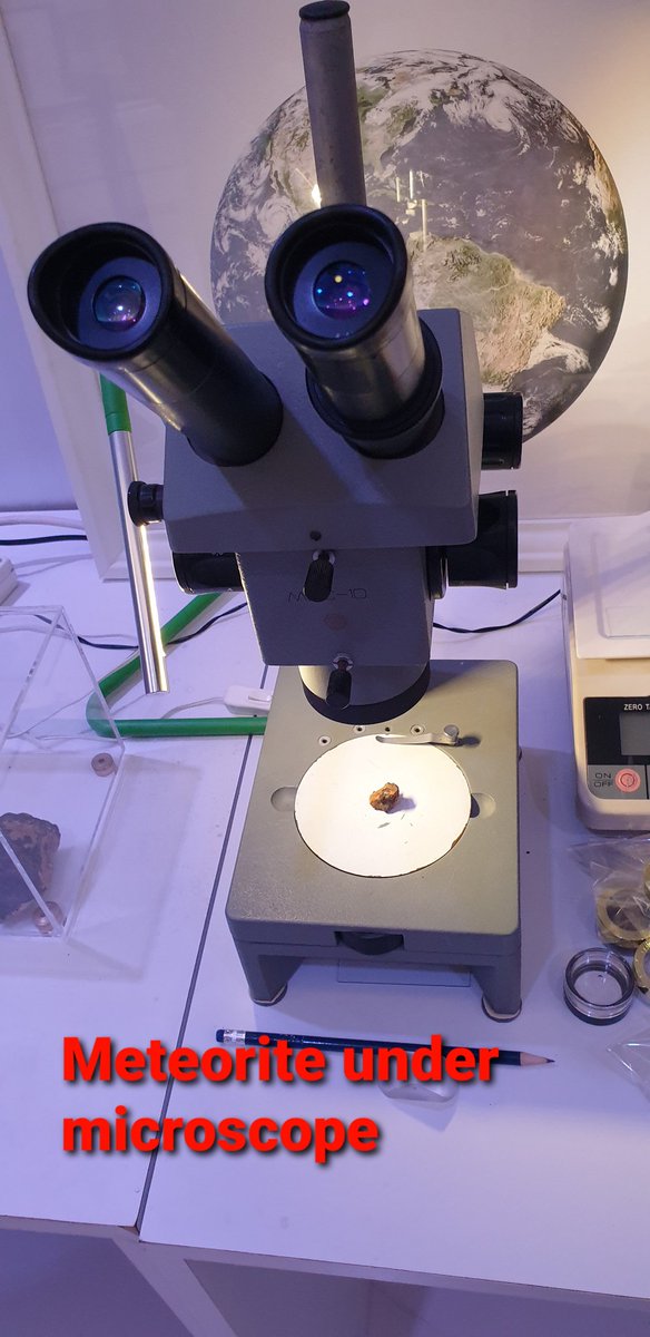 Ritu Chauhan tweet media