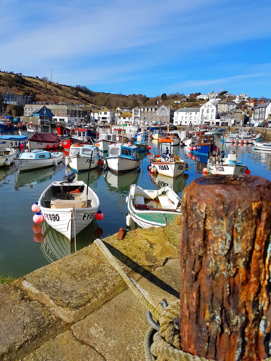 CF_Conf's tweet photo. Job opportunity: Specialist Advisor (Fisheries) | Cefas |  Full details here: https://t.co/vsJrx17h2c | #CoastJob #MarineJob #WaterJob #CMS #OceanJob #Fisheries #Cefas | Sign up for job alerts here: https://t.co/JZw6uSjivn https://t.co/34FtCxmTDm