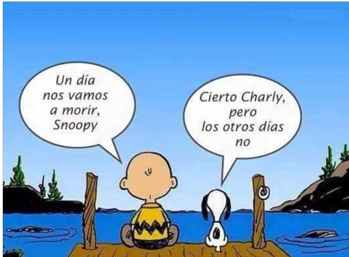 josefajram's tweet photo. Buenos días https://t.co/rt4SKtQADZ