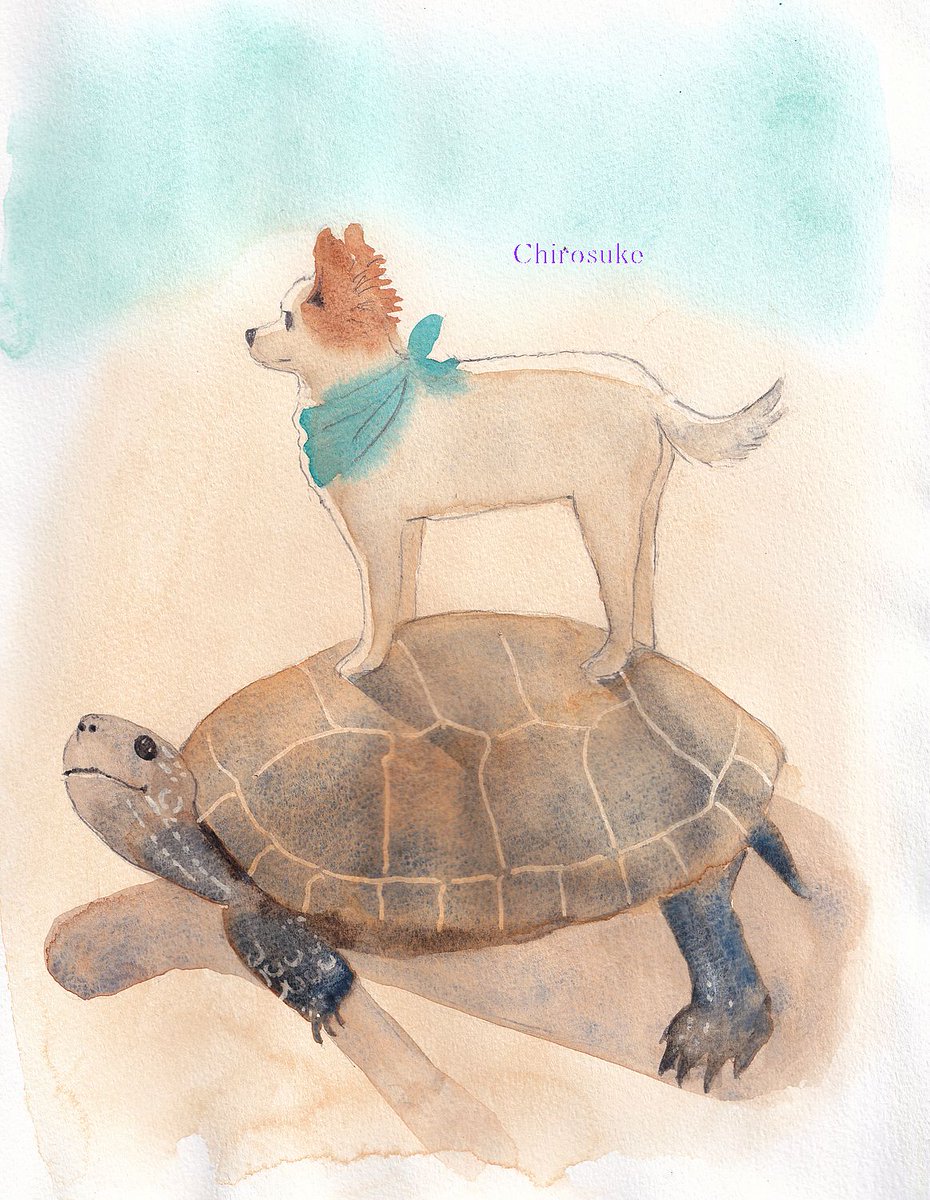 no humans animal focus painting (medium) animal watercolor (medium) turtle traditional media  illustration images