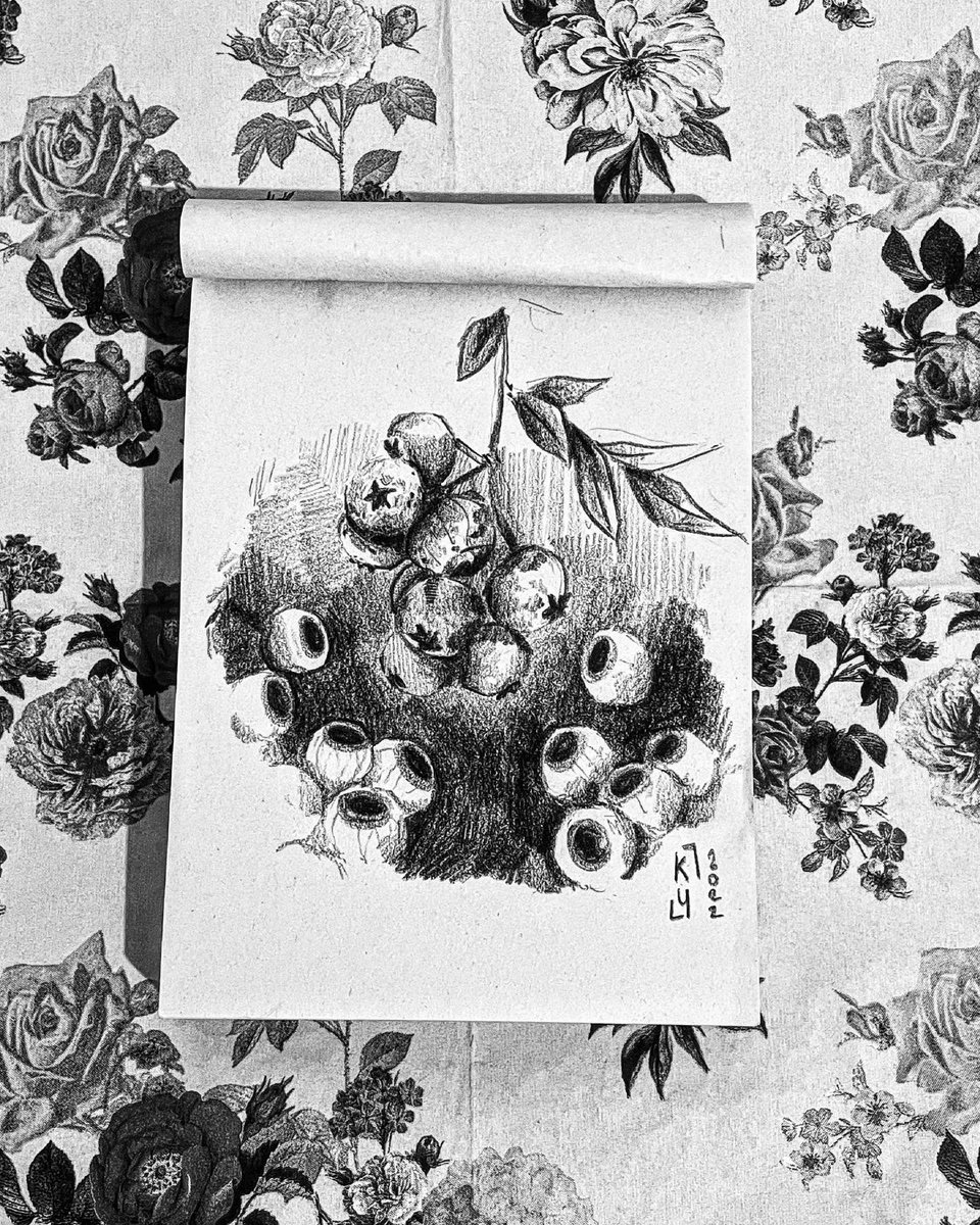 kyandipkin's tweet photo. Some eyes berries it's been a long time #art #Pencildrawing https://t.co/RAhstm5wTi