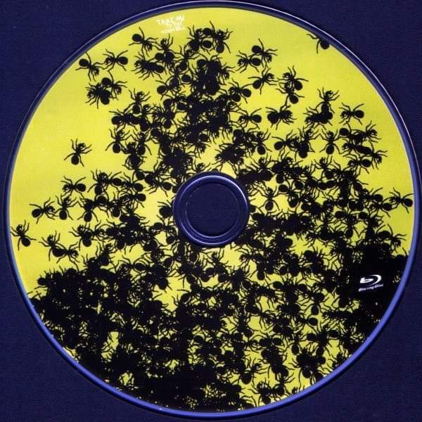 The Prodigy Daily 🇬🇧 tweet media