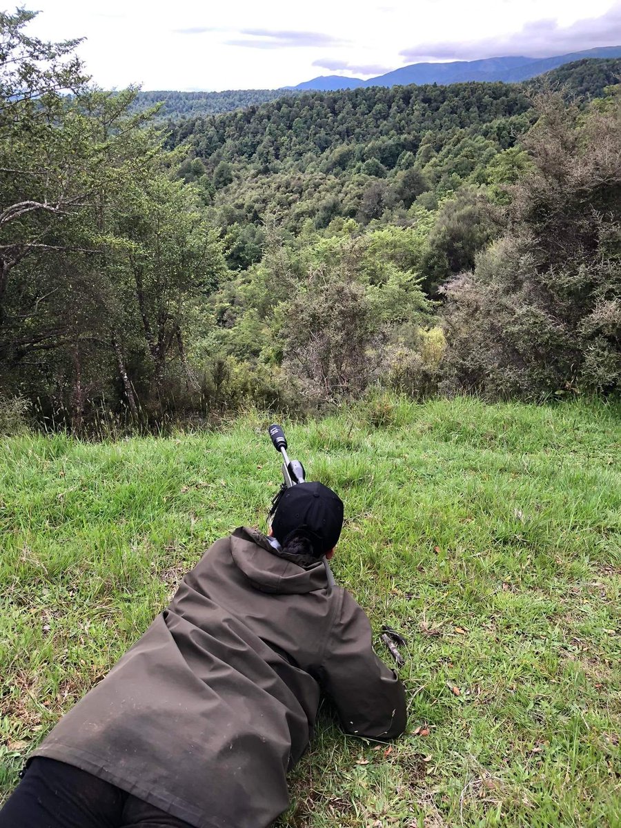 RoseTineka's tweet photo. Hunting wananga (traditional style of learning and educating) with an amazing group of wahine (women). Our hunting guide found 2 deer sunbathing and I was about to take the shot until I was called to another location where a few stags were hanging out😁 https://t.co/qZG48bw8lc