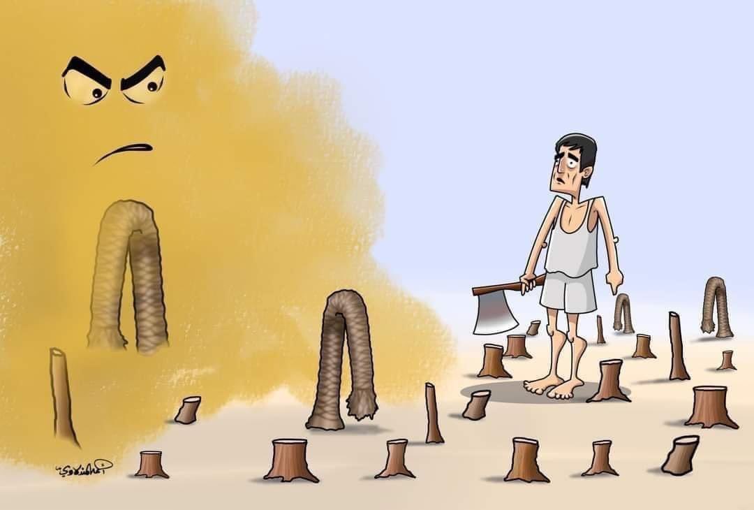 #ازرع_ولا_تقطع