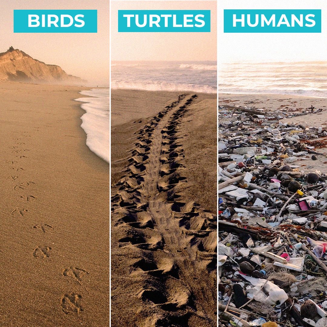 Game Changers tweet media