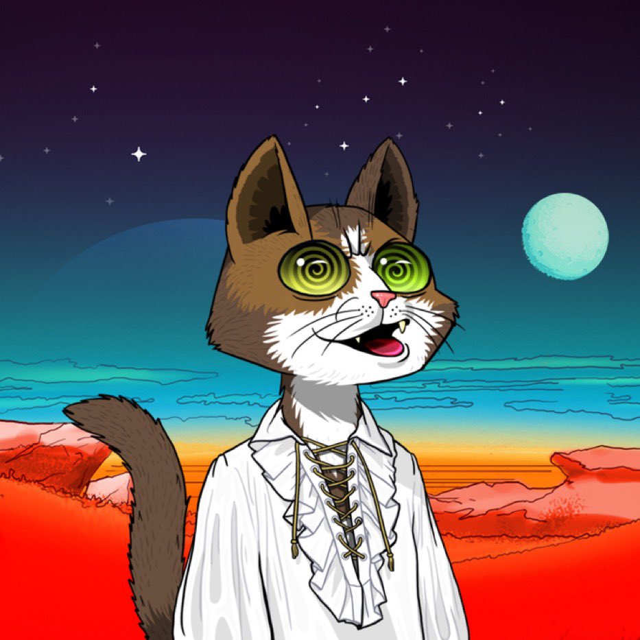 Laureen_11_11_'s tweet photo. I have to say my cats are the only ones helping me get through this bear market. @MarsCatsVoyage community is always excited. ❤️😻 Love my cats. ❤️🐈‍⬛🐈‍⬛ https://t.co/xQKyvVlXSj