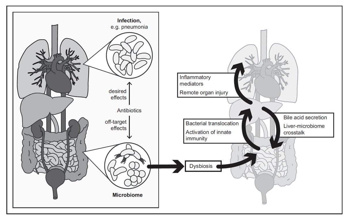 Anestesia Clínico Valencia tweet media