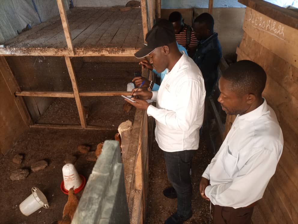 ByakeC's tweet photo. STEP on missions to assess the activities of STEP school clubs and identify opportunities for the establishment of new STEP agricultural clubs in Kabare https://t.co/3m68i9luw8