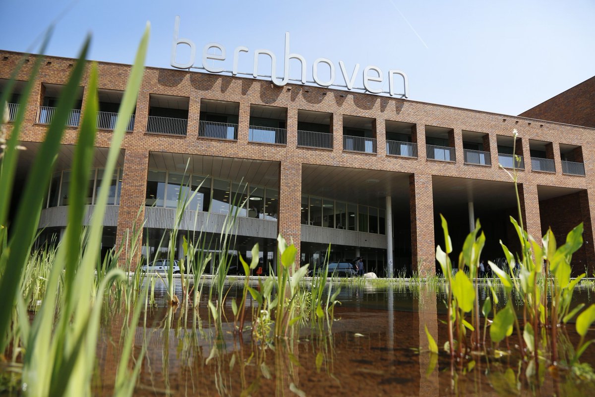 Bernhoven tweet media