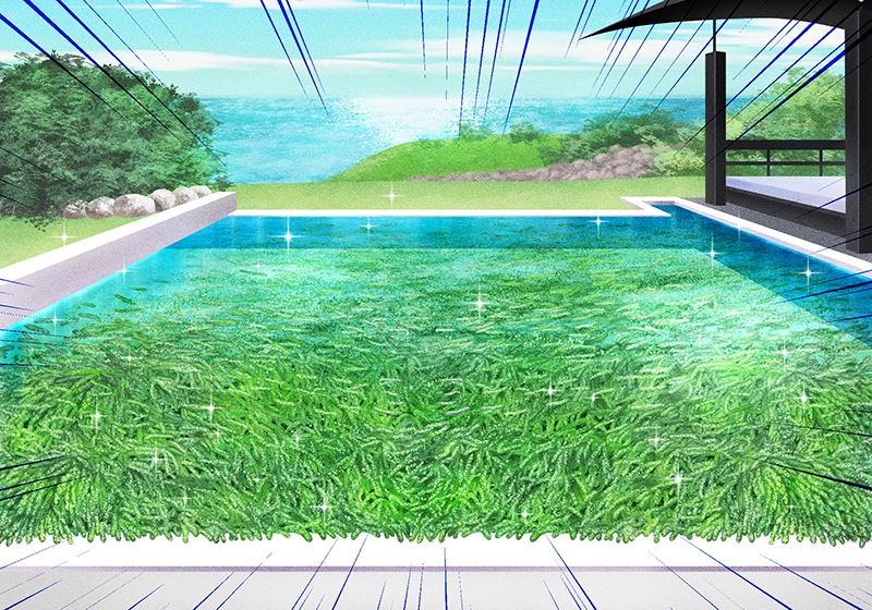 プールにたくさんある海ぶどうのイラスト。
表現するのがなかなか難しい絵でした。
プールを見せるためにどうしてもロングショットになっちゃうし、でも海ぶどう感は出さないといけないし。また一つ勉強になりました。
#クイズTHE違和感 #沖縄・ハワイ最強リゾートSP #放送中