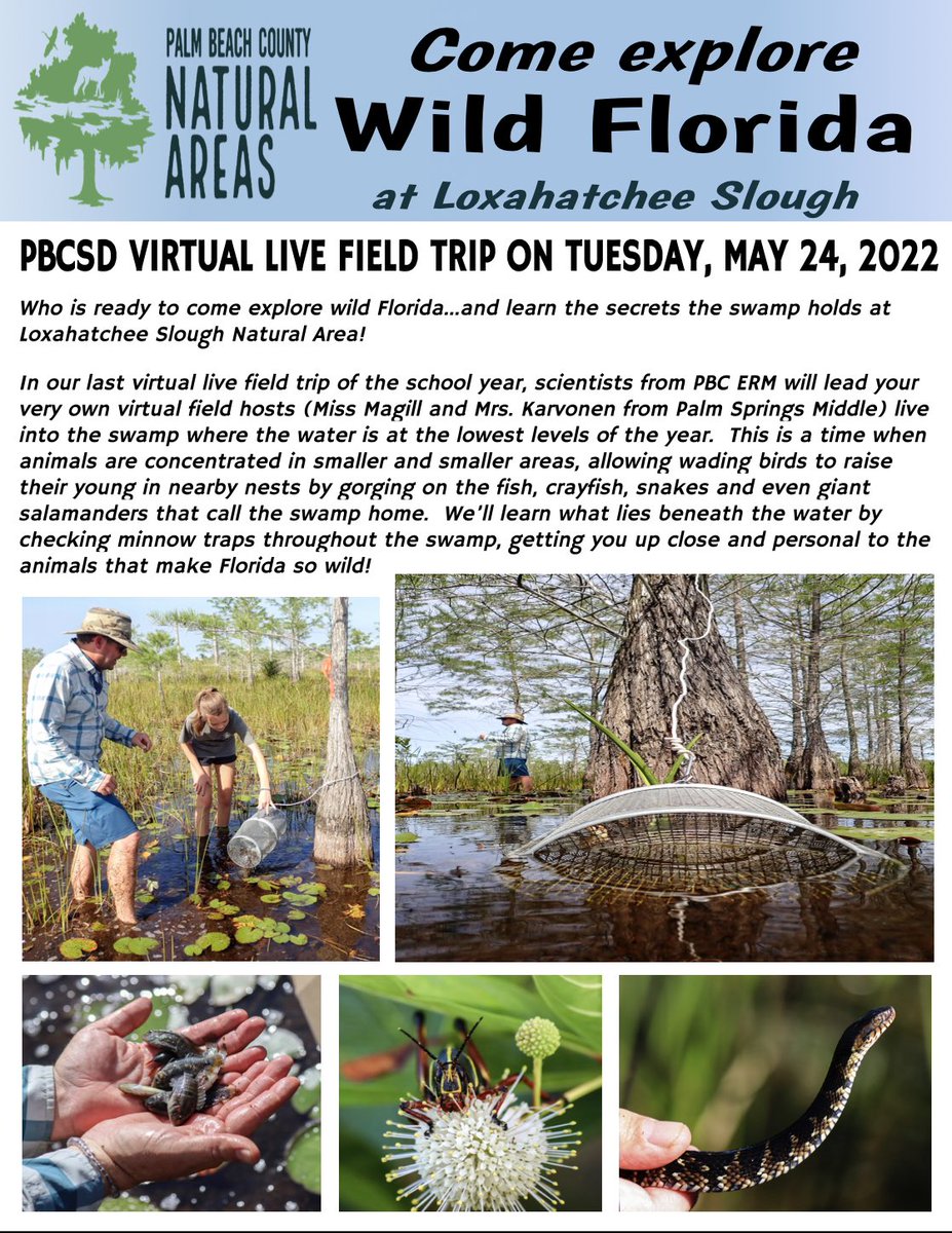 STEMagillPSMS's tweet photo. Who’s ready @pbcsd for the last #explorewithERM virtual FT of this school year?!  Come join us tomorrow, Tues 5/24 @ 4:30 to explore wild FL at Loxahatchee Slough NA: https://t.co/UpEnAuhat4. Hope to see you there!! @PBCSDScience https://t.co/ApbejzPYYm