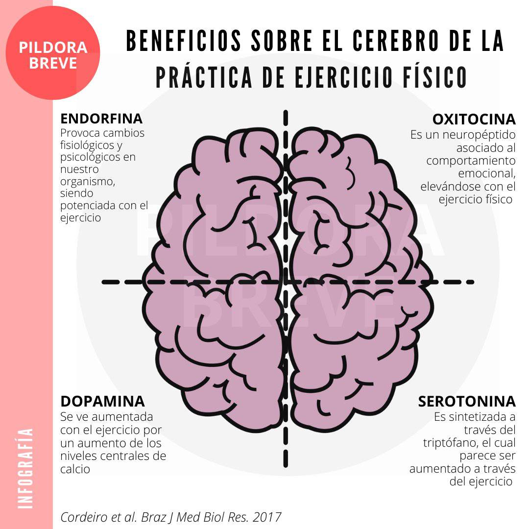 virginiog's tweet photo. Cuidar nuestro cerebro, nuestra motivación y estado de ánimo a veces depende de factores no demasiado obvios, cómo es el ejercicio https://t.co/oLkeGS6Sc4