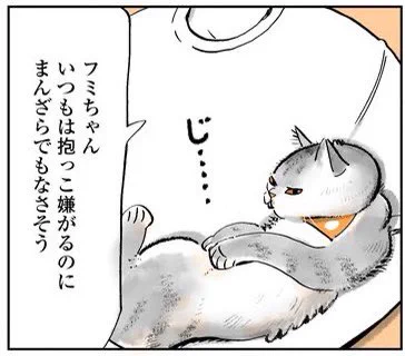 ウニは抱っこ嫌いじゃない。
気分じゃない時は嫌い。 https://t.co/qAXaclwvQY 