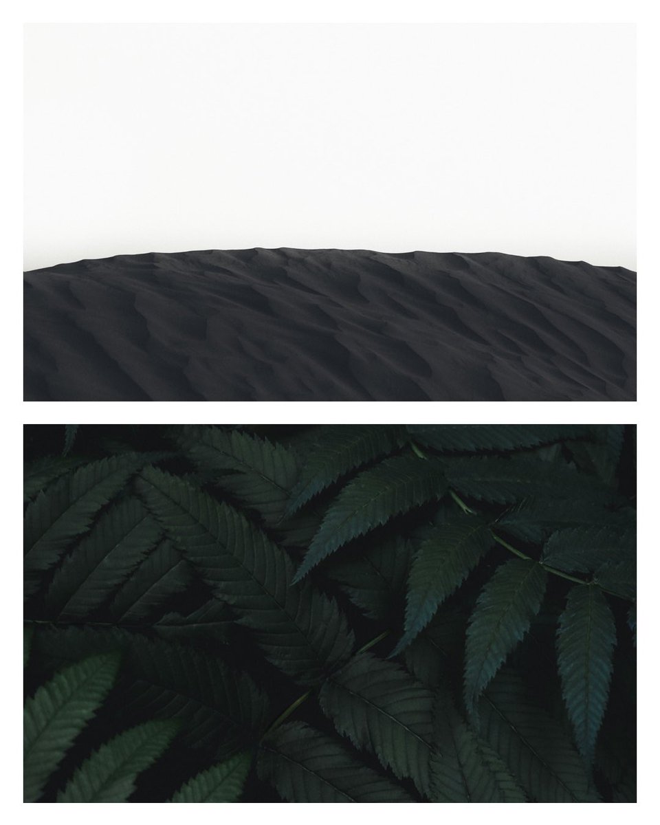 mnmlst's tweet photo. Small progress is still progress. #mnmlst #minimalist #minimalism #nature https://t.co/84wMf8PJED