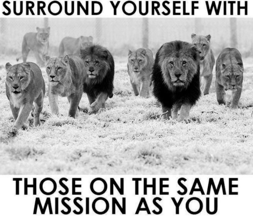 Be highly selective about who you keep around you!

Do not allow anyone into your circle that is not in direct alignment with what you believe and who you are becoming!
