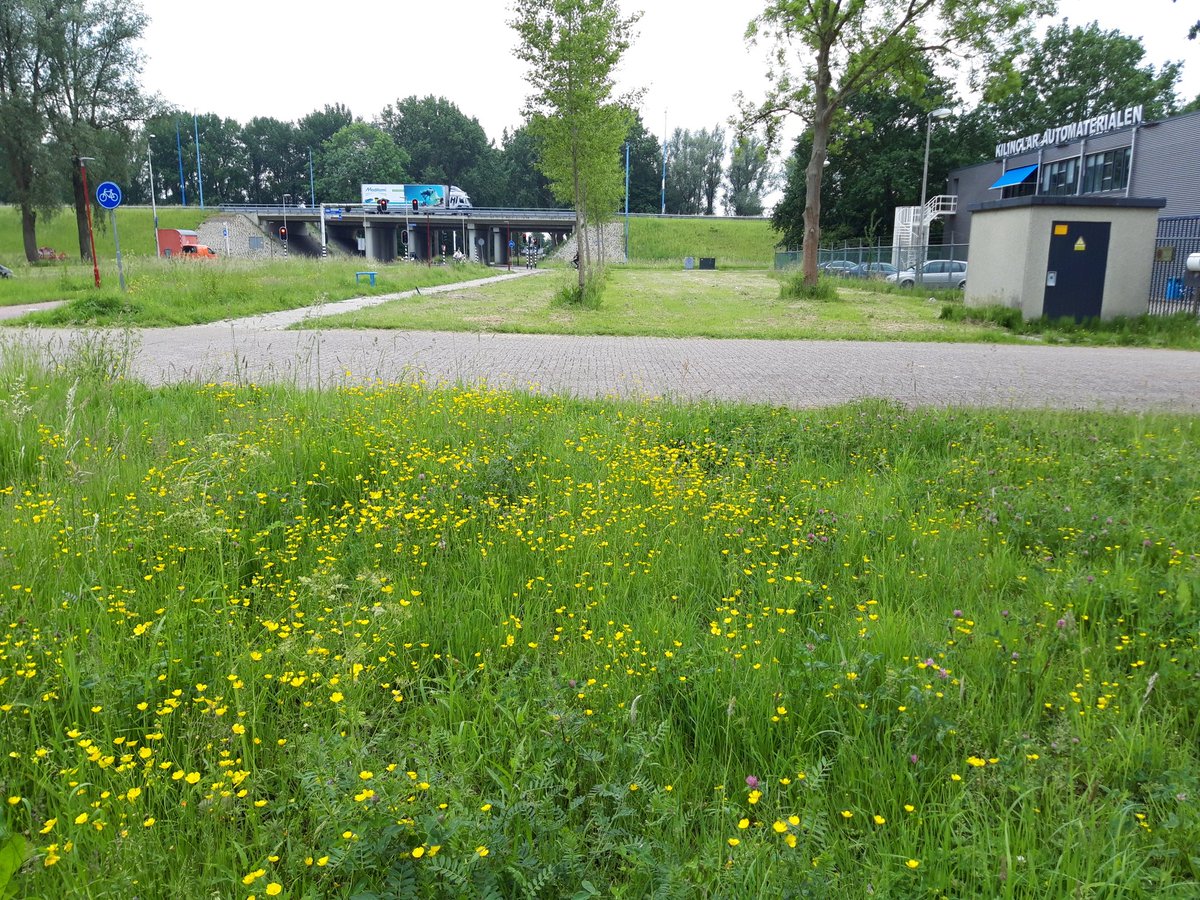 Bunnik Groep tweet media