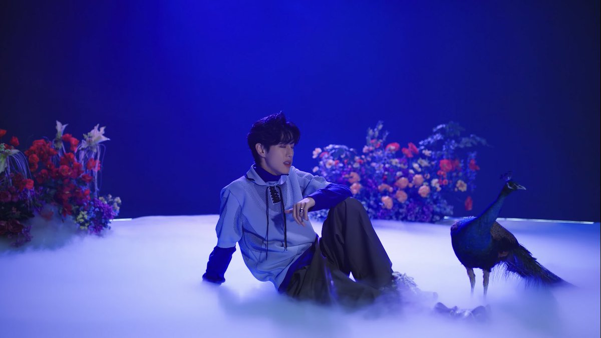bleuxroi's tweet photo. Je vais pleurer LE MV EST MAGNIFIQUE !!!! 

#GOT7 #GOT7COMEBACK #NANANA_MV 
#MARK #JINYOUNG #JAYB #JACKSON #bambam #YOUNGJAE #YUGYEOM https://t.co/b0MmDEieiR