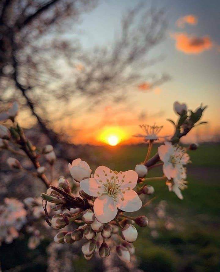 اللهُم ﺍﻛﺘﺐ لي ﺗﻐﻴﻴﺮﺍً ﻟﻼﻓﻀﻞ فِ ﻧﻔسي ﻭﺣﺎلي ﻭﺣﻘﻖ لي ﻣﺎ ﺍﺗﻤنى.. ﻳﺎﺭﺏ إني ﺍﺳﺘﻮﺩﻋﻚ ﻛﻞ ﻣﺎ ﺍﺧشى ﻓﻘﺪﺍﻧﻪ ﻓأﻧﺖ خير الحافظين.🤲
#HaveANiceDay