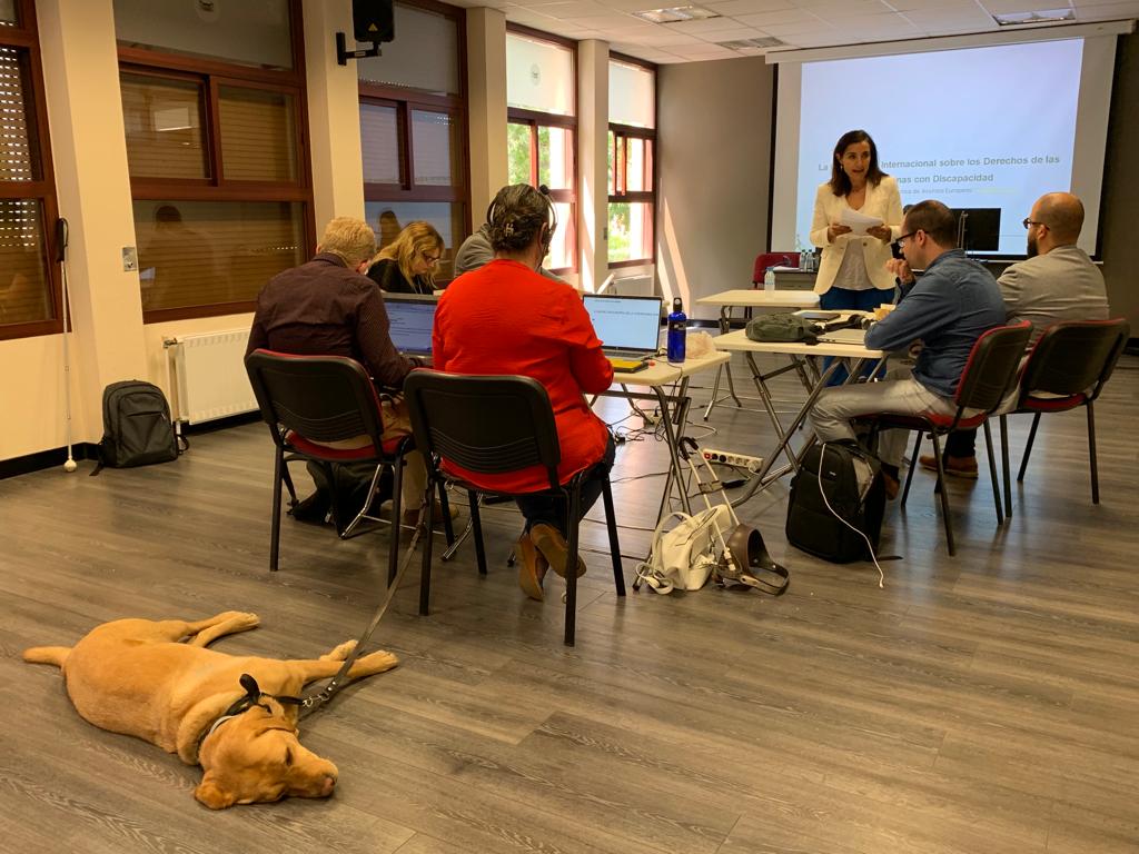 ONCE_oficial's tweet photo. @euroblind @BrbaraMartin1 @Cbarretozurron La dtora. de la #OTAE del #GrupoSocialONCE, Cristina Barreto @Cbarretozurron, nos habla de la Convención Internacional sobre los Derechos de las Personas con Discapacidad en la sesión informativa #PARVIS https://t.co/qAK8qqxqUt
