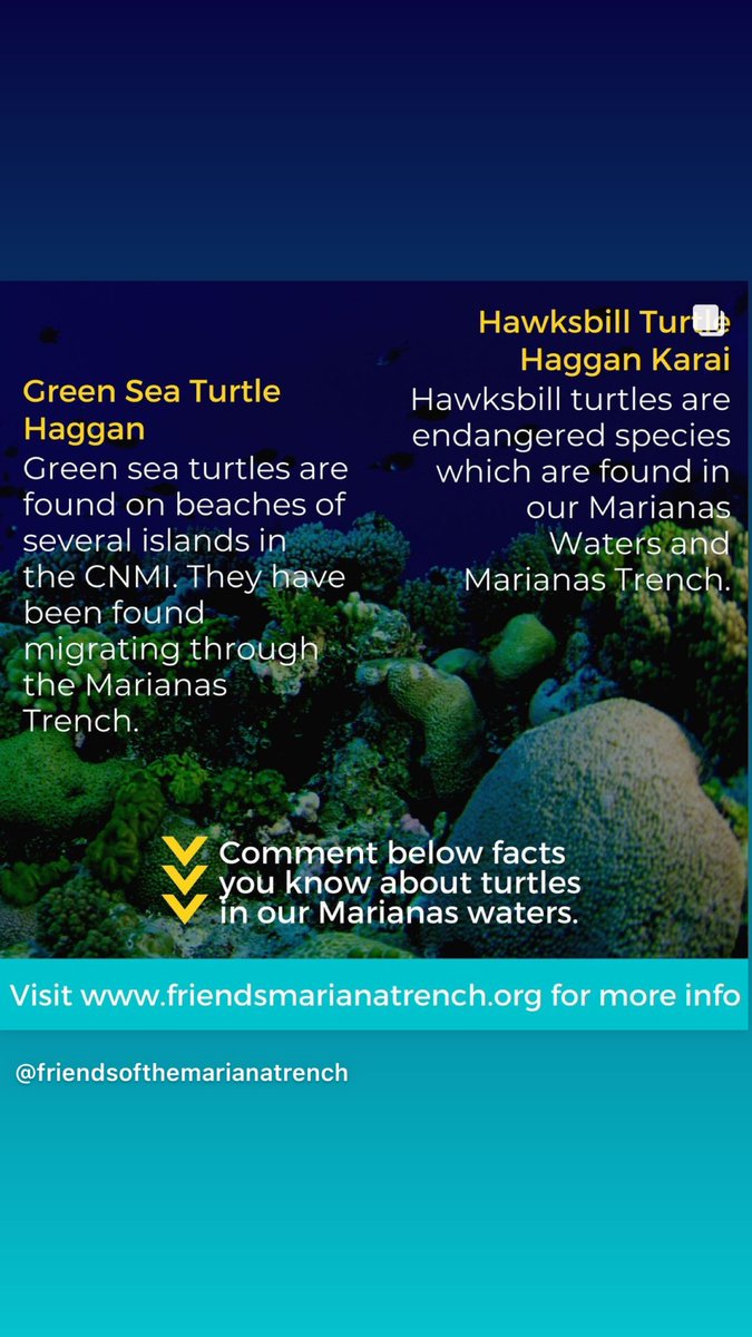 ENRO NMC (@enronmc) on Twitter photo Happy World 🐢 Day Everyone! Let’s celebrate our ocean animals at all times for preserving our ocean needs!
Photos from <a href="/FriendsTrench/">FRIENDS OF THE MARIANA TRENCH</a> Happy World 🐢 Day Everyone! Let’s celebrate our ocean animals at all times for preserving our ocean needs!
Photos from <a href="/FriendsTrench/">FRIENDS OF THE MARIANA TRENCH</a>