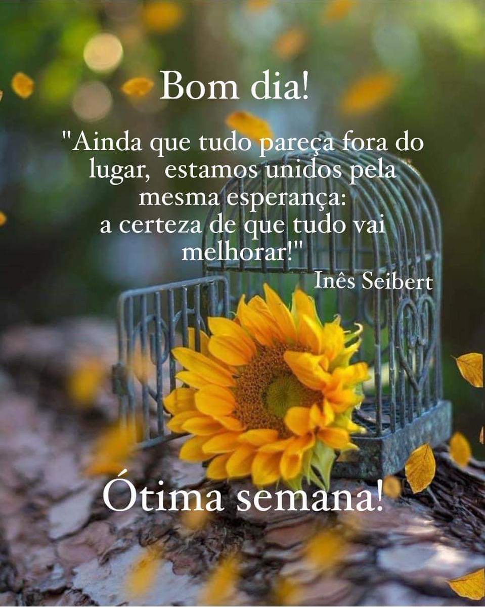 Comecem bem a semana. Abram as suas janelas emocionais. Drenem mágoas. Adubem perdões. Fortifiquem laços. Valorizem a sua saúde mental. Curem-se de todas as emoções que lhe fazem mal. Nós merecemos sentir paz...
Bom dia a tds!