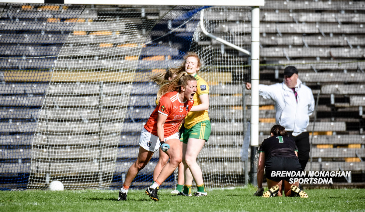 mungo4's tweet photo. Good morning @ArmaghLGFA anybody seen a 🐻 https://t.co/qKv4N4LrDD