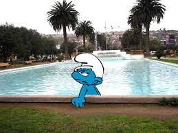 BICHILLO (@bichilloverde) on Twitter photo 