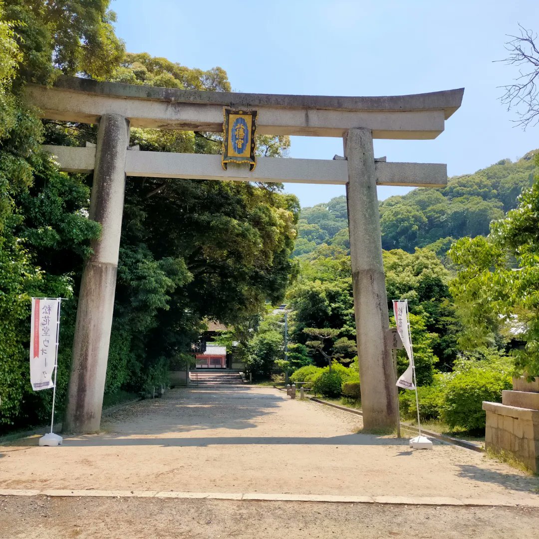 温泉哲人 tweet media