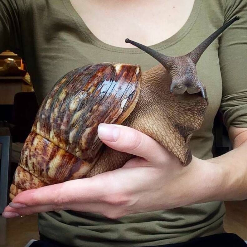 paraisoanimal69's tweet photo. https://t.co/45EFNyuoEE