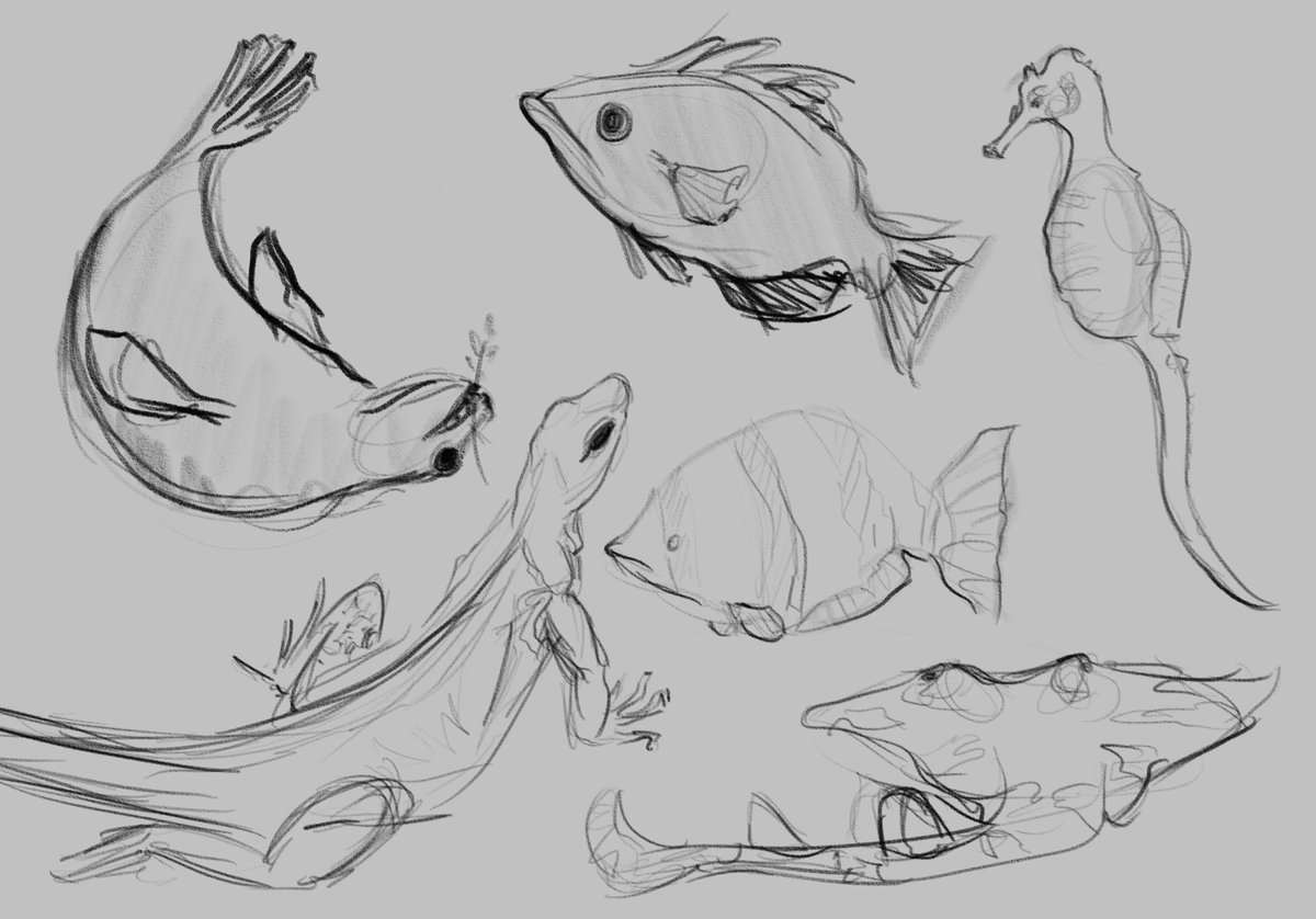 __lemoned__'s tweet photo. Some zoo sketching from last week. I always forget how great (and super challenging at times) it is to draw from life. https://t.co/eq1K5kWPMC