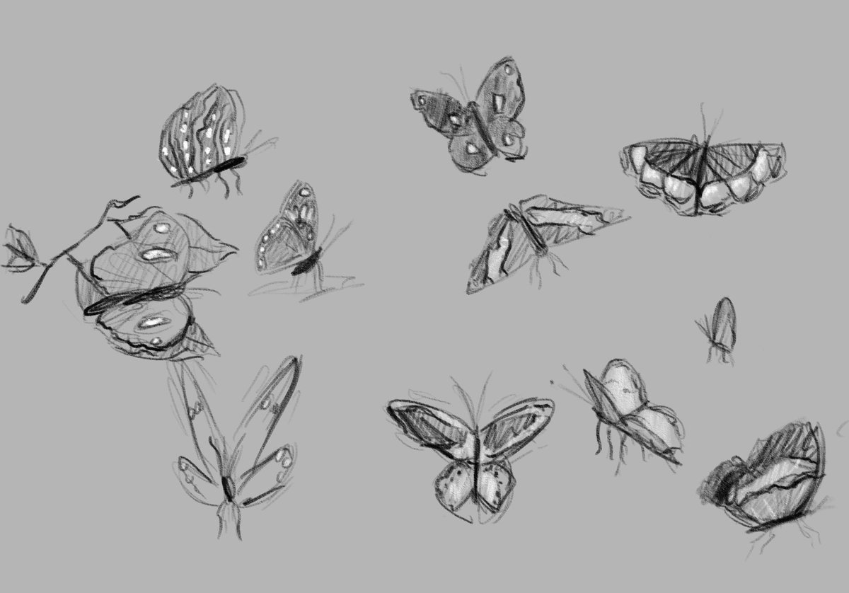 __lemoned__'s tweet photo. Some zoo sketching from last week. I always forget how great (and super challenging at times) it is to draw from life. https://t.co/eq1K5kWPMC