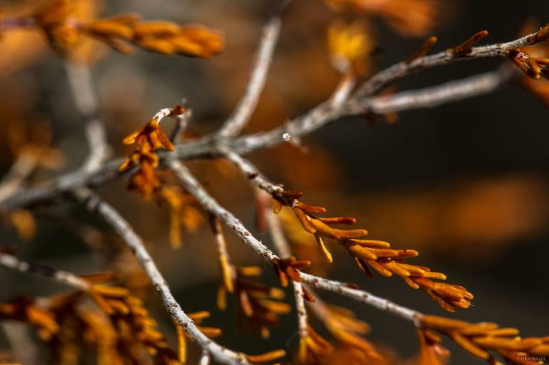 Gareth Lennox tweet media