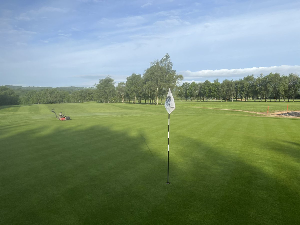 A light verti cut and a hand mow this morning ☀️