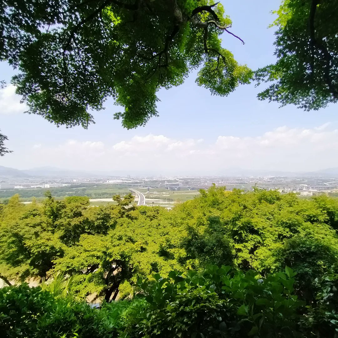 温泉哲人 tweet media
