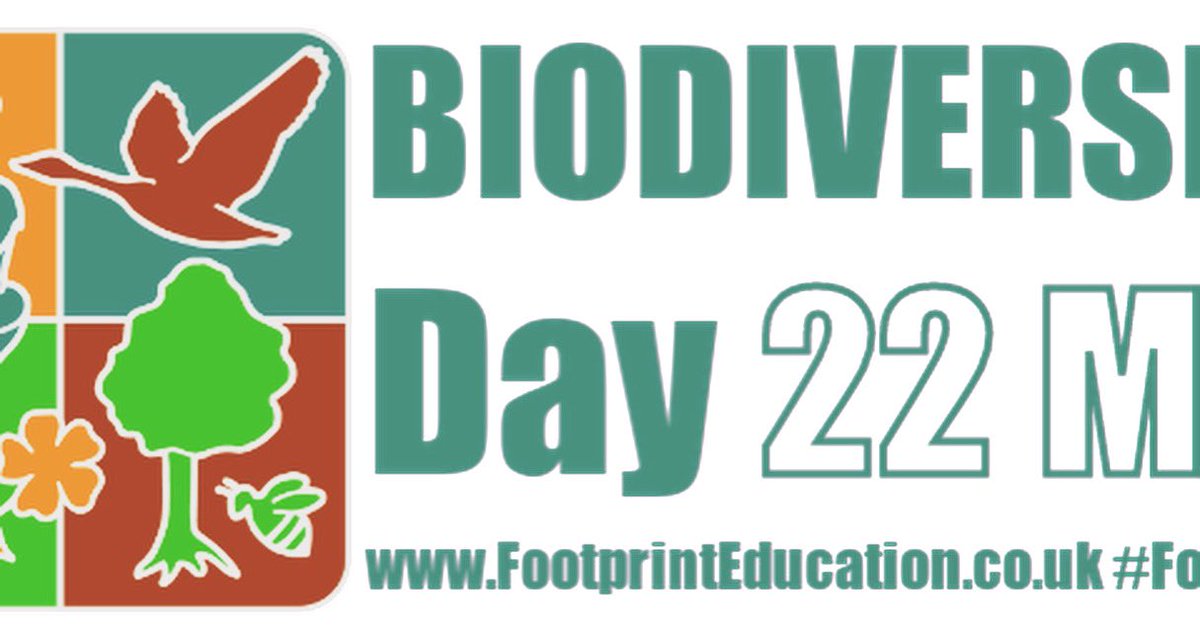 Footprint Education tweet media