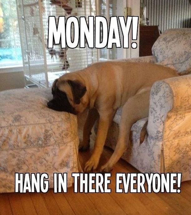 ruse_in's tweet photo. Balancing Monday be like.. https://t.co/3osbr0qKg5