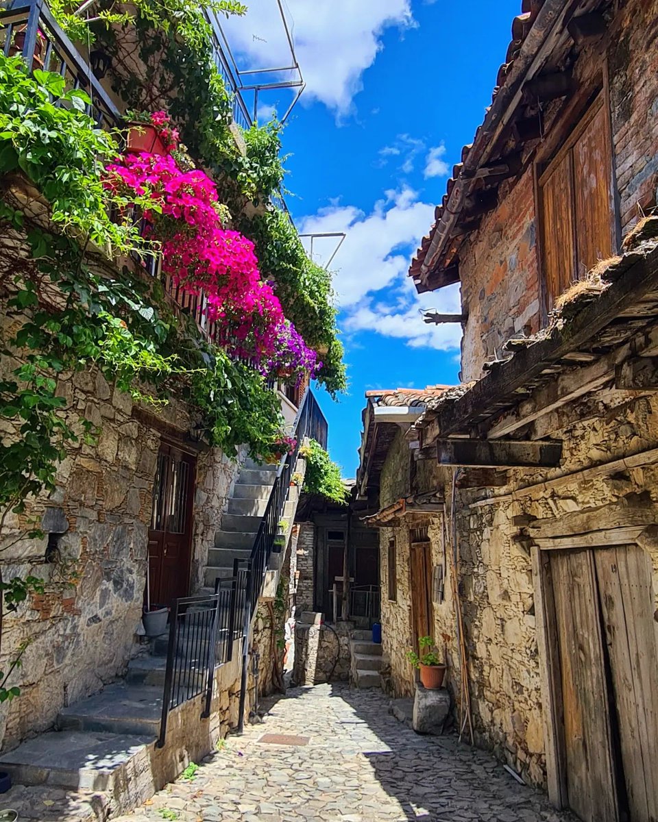 visitcyprus's tweet photo. Kick-Start your week with a shot of picturesque Askas village. Are you more of an urban or a rural traveler? 🌿🏡

#Cyprus #Troodos #Askas
📷 @magda_chrysostomou https://t.co/gHH4dSsAxK