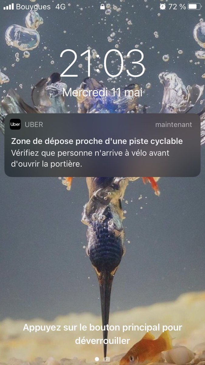 Alex_DupDoan's tweet photo. L’autre jour j’ai pris un @UberFR (une fois n’est pas coutume), et je dois dire que cette notification m’a fait plaisir. #veloparis #velo https://t.co/JmCuwJGXfz