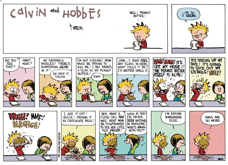 Howell489's tweet photo. #RandomShoutout to what might be my favorite CALVIN & HOBBES comic strip. :) https://t.co/293HVcLdqT