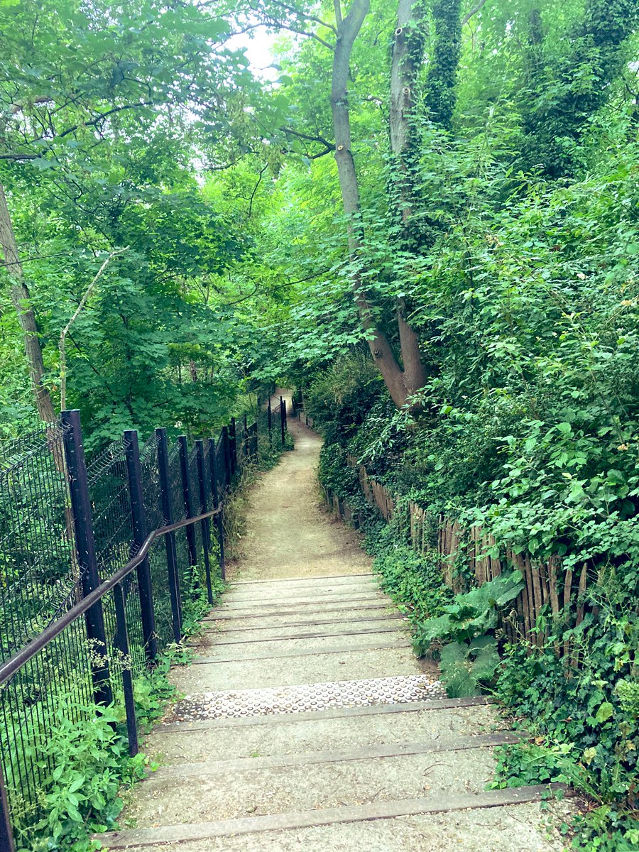 Gigi Salmon tweet media