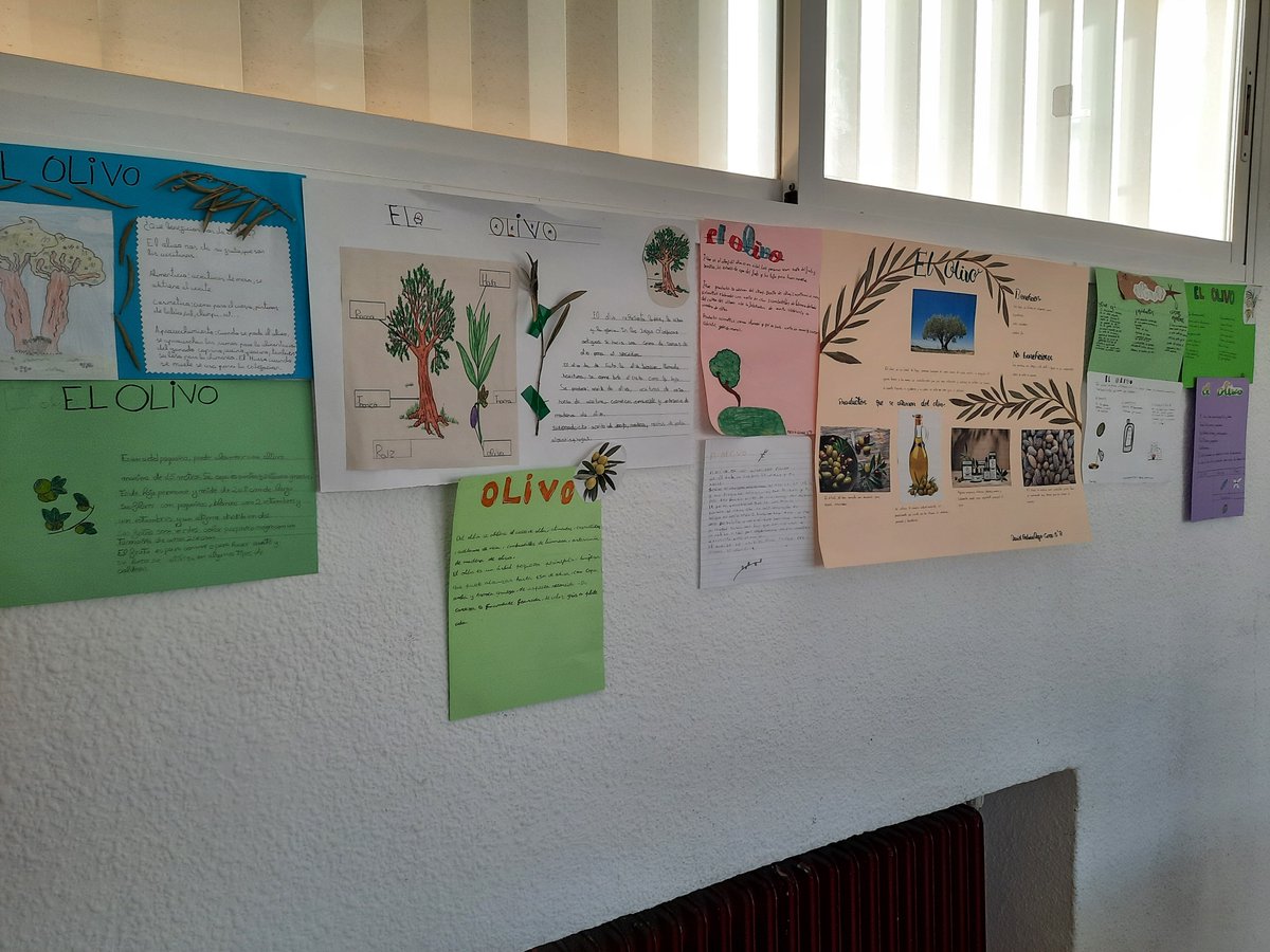 CEIP VIRGEN DEL MONTE tweet media